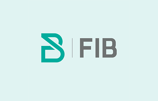 FIB